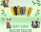 BẮP GẶM NGON NGON 8cm - Hamster Mê Tít 