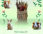 TÚI THẦN KỲ - Bí Mật Giúp Hamster Vui Cả Ngày