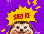 GIÁ NHÍM KIỂNG SIÊU RẺ