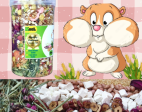 Thức Ăn Hamster Cao Cấp  (Healthy Premium Hamster Food)