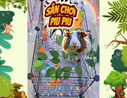 SÂN CHƠI PIU PIU - Mẫu Chuồng Nuôi Bọ Ú, Thỏ Hạnh Phúc .