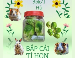 BẮP CÁI TÍ HON - Top Món Ăn Hamster Thích Nhất.