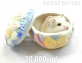 CHÉN ĂN SỨ CÓ NẮP ĐẬY CHO HAMSTER (NHIỀU HÌNH DÁNG)