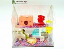 LỒNG HAMSTER TRONG SUỐT SIZE 30-30-30 FULL TOY MS05