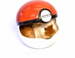 NHÀ NGỦ SỨ POKEMON CHO SMALL PET