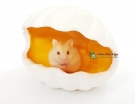 NHÀ NGỦ SỨ CON SÒ CHO HAMSTER