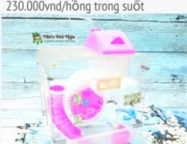 LỒNG CÔNG CHÚA PHA LÊ TRONG SUỐT SIZE MINI