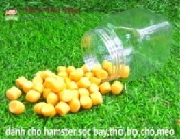 PHÔ MAI VIÊN CHO HAMSTER CÓ THAI