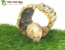 NHÀ NGỦ GỖ UỐN CONG CHO HAMSTER SIZE LỚN