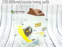 LỒNG HOÀNG TỬ PHA LÊ TRONG SUỐT SIZE MINI