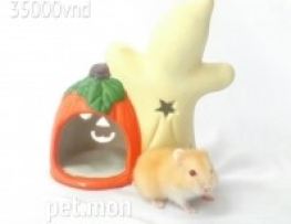 NHÀ NGỦ HALLOWEEN CHO HAMSTER