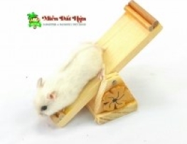 BẬP BÊNH GỖ CHO HAMSTER