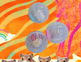 Niềm Vui Bất Tận Với Banh Chạy S: 11.5cm - Đồ Chơi Hamster