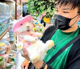 Các giống thỏ kiểng Miền Đất Hứa