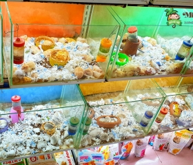 CÁC BÉ HAMSTER
