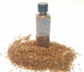 SÂU GẠO DINH DƯỠNG SẤY KHÔ CHAI MISO FASHION