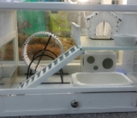 CHUỒNG PET WHITE CHO HAMSTER (FULL TOY)