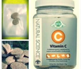OXBOW VITAMIN C CHO HAMSTER VỈ 2 VIÊN