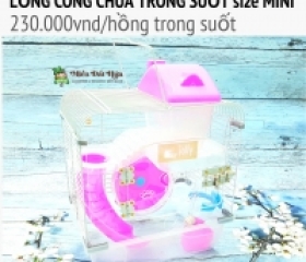 LỒNG CÔNG CHÚA PHA LÊ TRONG SUỐT SIZE MINI