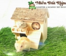 NHÀ 1 TẦNG 4 LỖ DÁT VỎ CÂY