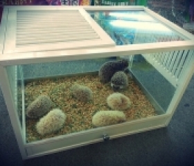 CHUỒNG NUÔI NHÍM PET WHITE 