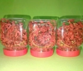 KỈ TỬ