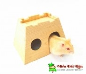 NHÀ KIM TỰ THÁP GỖ KHÔNG MÀU