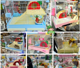 Chuồng thỏ kiểng đẹp xin xò