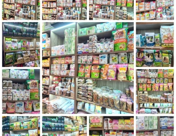 Hamster shop Quận Phú Nhuận - UY TÍN VÀ CHẤT LƯỢNG