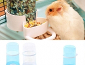 Nhất Định Không Đượ Bỏ Lỡ Kiến Thức Chu Kỳ Sinh Sản Của Hamster